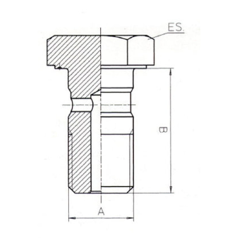 copy of B & H Standard - Banjo bolt