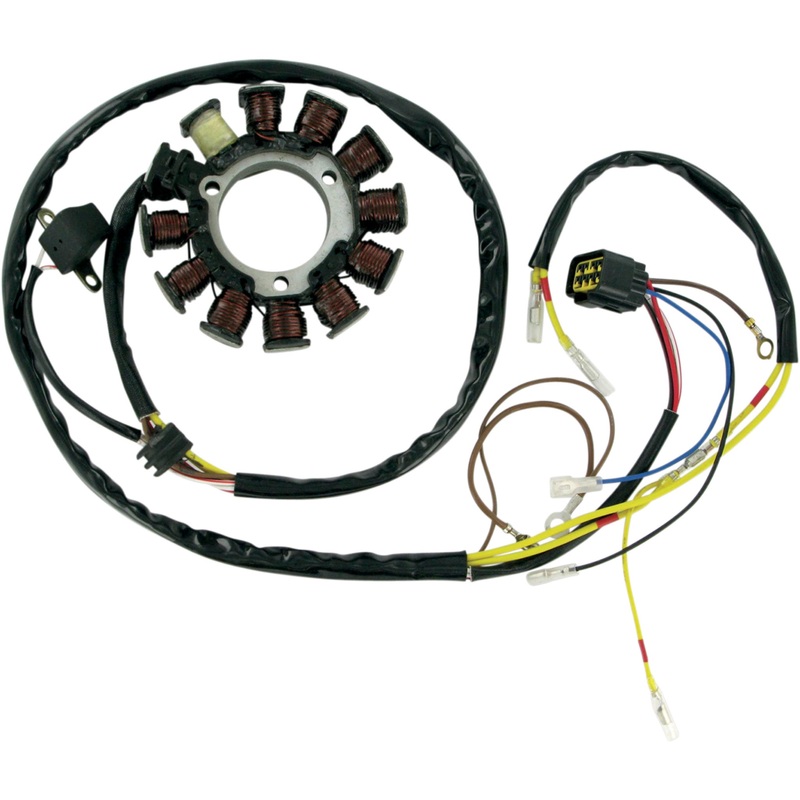 RICK'S MOTORSPORT ELECTRIC 2112-0341 21-556 Stator for Polaris Stator
