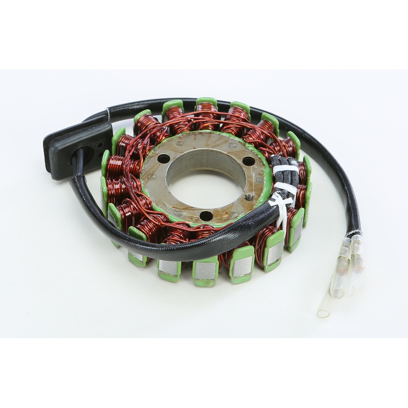 RICKS STATOR 21-201